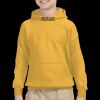 Youth Heavy Blend™ Hooded Sweatshirt Thumbnail